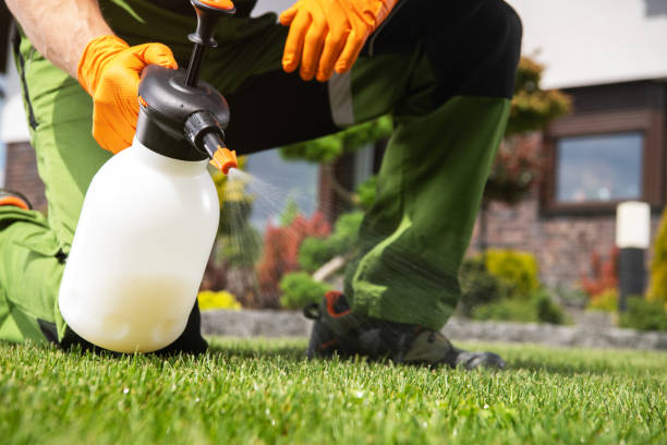 Best Pest Control Treatment  in Laurium, MI