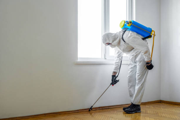 Best Pest Removal Services  in Laurium, MI